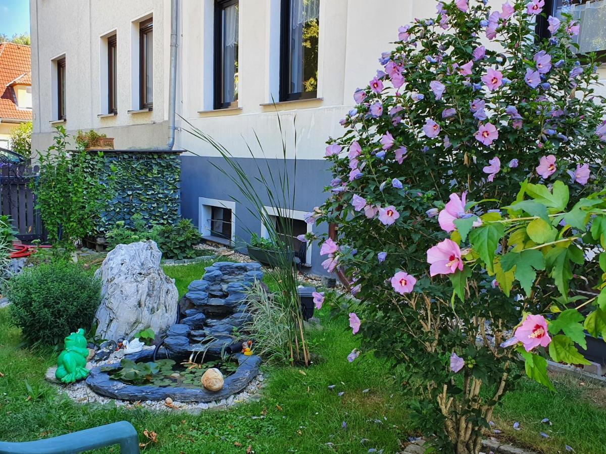 Ferienwohnung Mit Charme Neukieritzsch Екстериор снимка